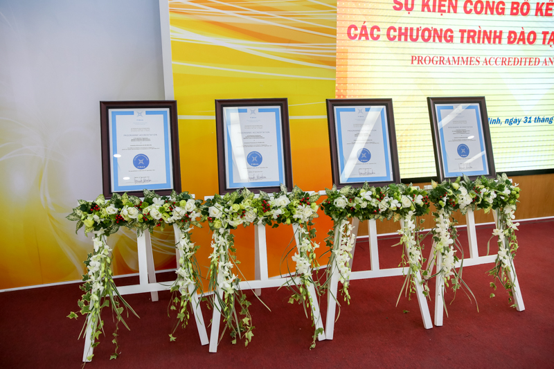 cá cược thể thao hul city